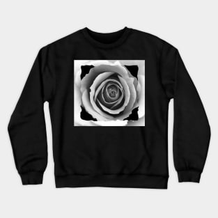 White Rose Box Crewneck Sweatshirt